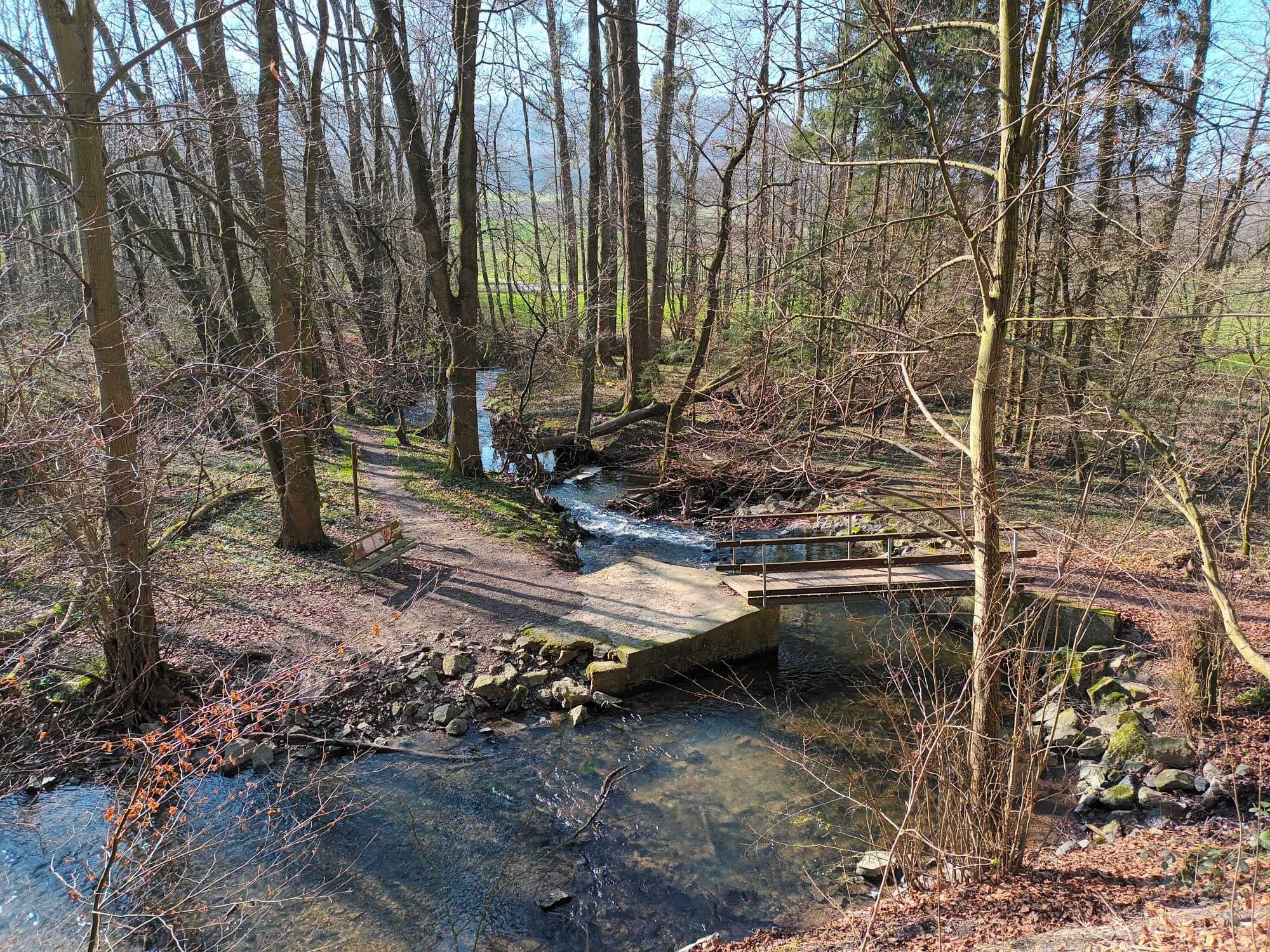 Header image for Green Meditation