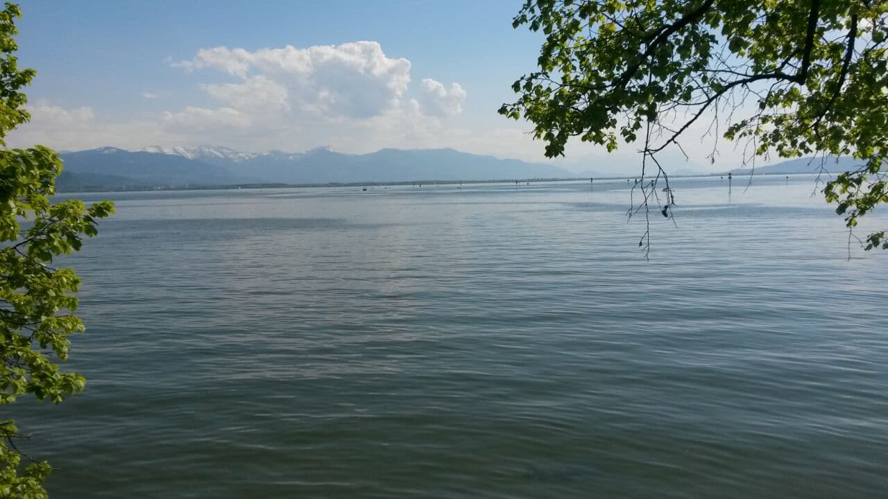 Header image for Klassische Homöopathie